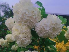 -祥源·阜阳生态乐园