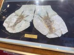 -阿胖龙虾(罍街店)