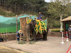 -大连森林动物园