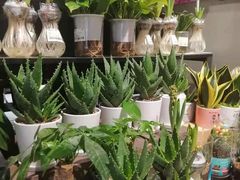 -盒马鲜生(皇庭广场店)