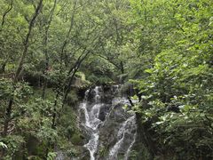 -宁波市保国寺古建筑博物馆