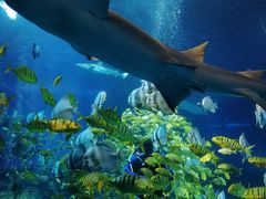 -太平洋海底世界