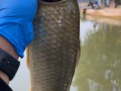 -酷鱼垂钓CLUB(朝阳区博大路店 )