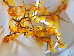 大堂-芳朵美容养生SPA