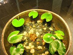 -曲水兰亭(北京四惠店)