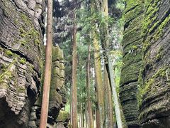 -梭布垭石林景区