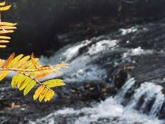 -龙苍沟森林公园