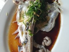 -八仔大富楼·河鲜(西江店)