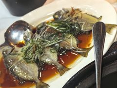 -阳江餐厅·30年老字号·粤菜海鲜大排档