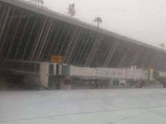 -龙阳路磁悬浮列车总站-停车场