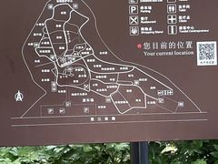 -合肥野生动物园