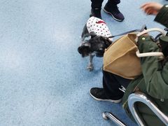 -北京赛佳动物医院