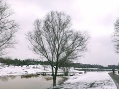 -钟山体育运动公园