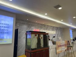 点击看大图 -长沙雅美医疗美容医院