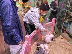 -正佳雨林生态植物园
