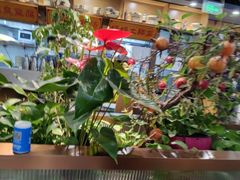 -洞庭家宴·头牌甲鱼(广渠门店)