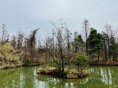 -艾溪湖湿地公园
