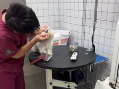 -瑞派康怡24h宠物医院·犬猫医疗中心·微创绝育(瑞景分院)