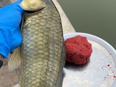 -酷鱼垂钓CLUB(朝阳区博大路店 )