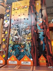 -卡通尼·Safari非洲探索乐园·生日会(金桥国际商业广场店)