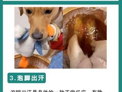 -成都市妇女儿童中心医院(中心院区)