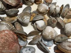 -海味当家·蒸锅海鲜(星海公园店)
