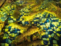 -顺德了能馆(虎门店)