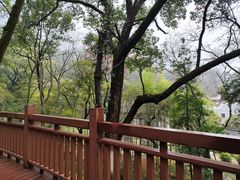 -岳麓山风景名胜区
