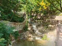 -北京西山国家森林公园