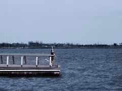 -南汇新城海滩