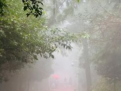 -敬亭山风景名胜区