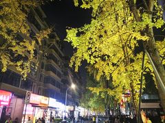-奎星楼街