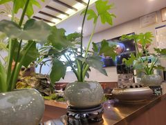 -懂羊帝·羊蝎子·北京菜(小关店)