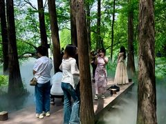 -东湖落雁景区