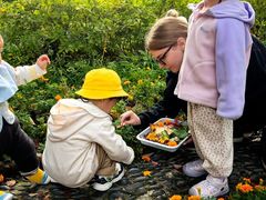 -豆初托育园 Baby Bean Day care Center