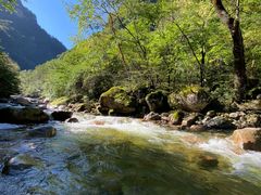 -青峰峡国家森林公园