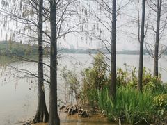 -海珠湖公园