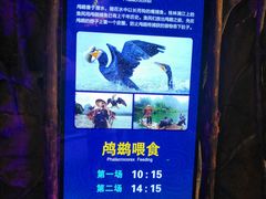 -哈尔滨波塞冬海底世界
