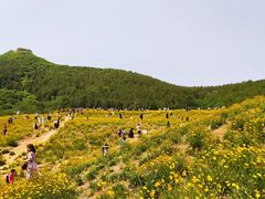 -佛慧山