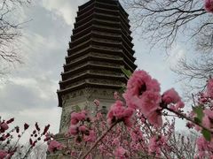 -玲珑塔公园