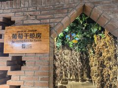 -新疆国际大巴扎