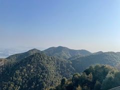 -南山植物园