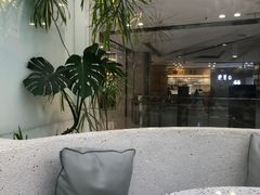 -大树餐厅(朝阳大悦城店)