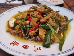 青椒焖鸡-香叶草中餐厅(川白楼店)