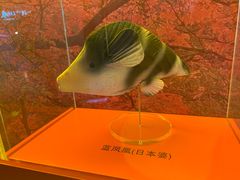 -上海海洋水族馆