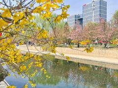 -元大都城垣遗址公园