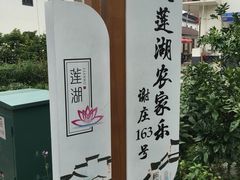 -大莲湖农家乐(青西郊野公园店)
