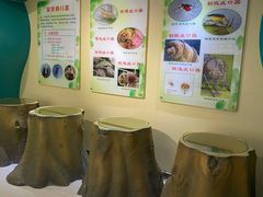-上海昆虫博物馆