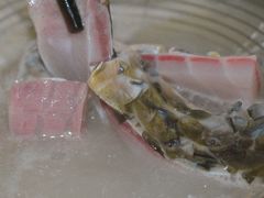 -源港渔村-中山脆肉鲩(博罗店)