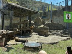 -大连森林动物园